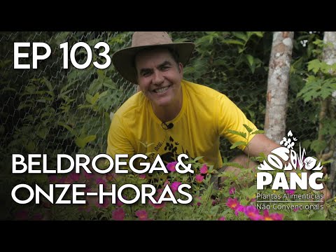 EPISÓDIO 103 - BELDROEGA & ONZE-HORAS | #pancnaveia #valdelykinupp