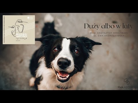 “Duży albo w łaty” śpiewa: Pola Płowiak, muz. Krzysztof Mroziński, sł. Ewa Andrzejewska