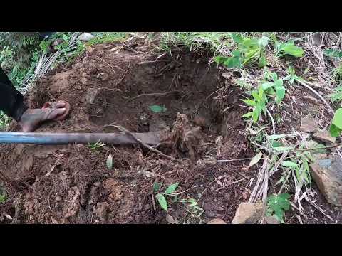 3minutes video treasure found