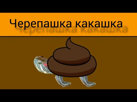 Переведи на английском какашка. Морская черепаха по имени какашка.