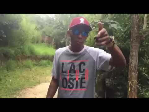 Mc Wesley Boladao - Fui pro bailão (Prévia) 2019