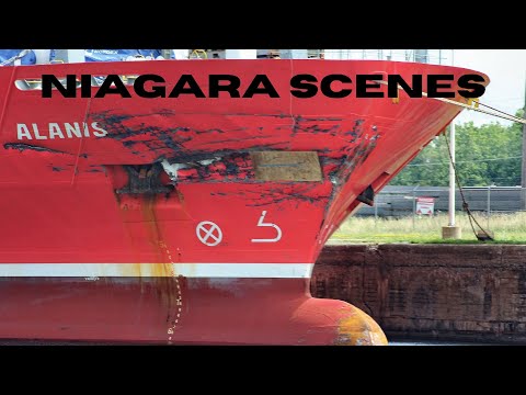 Collision Damage to Cargo Ships ALANIS and FLORENCE SPIRIT While Docked on the Welland Canal