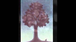 Requiem - The Death of the Tree - La Muerte del Arbol - Carmen Redondo - Chema Vilchez