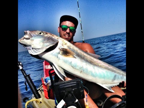 KAYAK FISHING RICCIOLA a traina con il vivo