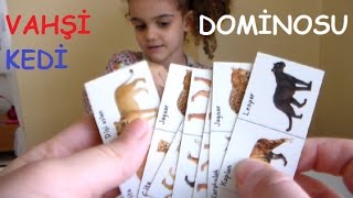 Güneş ile DOMİNO oynuyoruz - Domino nasıl oynanır?  Eğlenceli Çocuk Videosu
