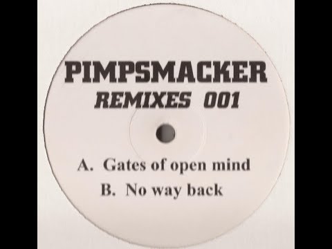 Sterbinszky & Tranzident - Gates Of Open Mind (Pimpsmacker Remix)