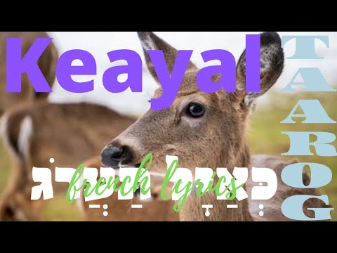 Keayal taarog - sous-titres français, french lyrics
