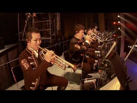 Linked Horizon - Guren no Yumiya (LIVE) | Attack on Titan Opening 1