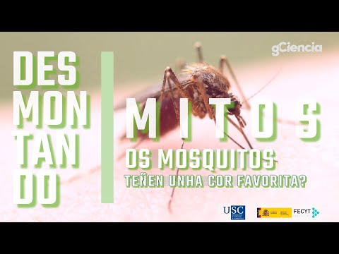 Vídeo: Os mosquitos teñen unha cor favorita?