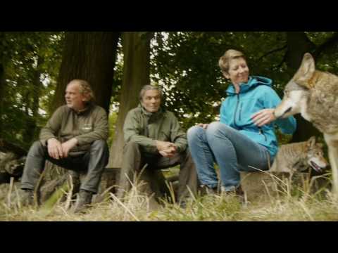 Wolfserlebnisnacht im Wisentgehege Springe