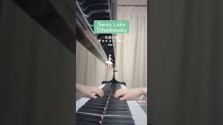 Download lagu Swan Lake - Tchaikovsky 🎏 白鳥の湖 - チャイコフスキー no.2 mp3