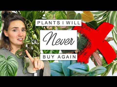 , title : 'Plants I Will NEVER Buy Again 🌿 Why I Wouldn't Own These 10 Houseplants Again'