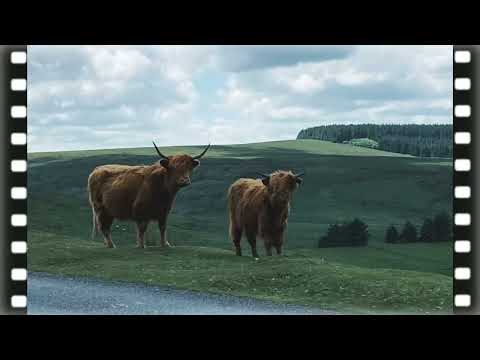 The Great Malle Rally 2024 - Day 1