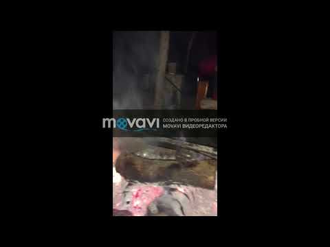 Новый проект 51