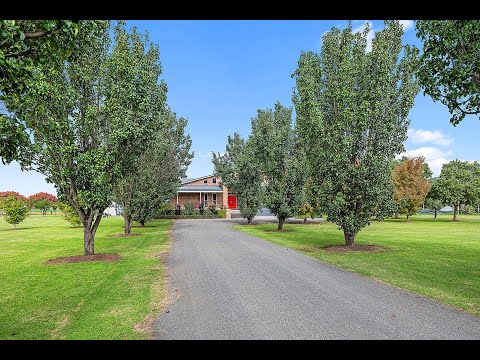 101-103 Queen Street, Singleton, NSW 2330, 4 Kuwarto, 3 Banyo, Lifestyle Property