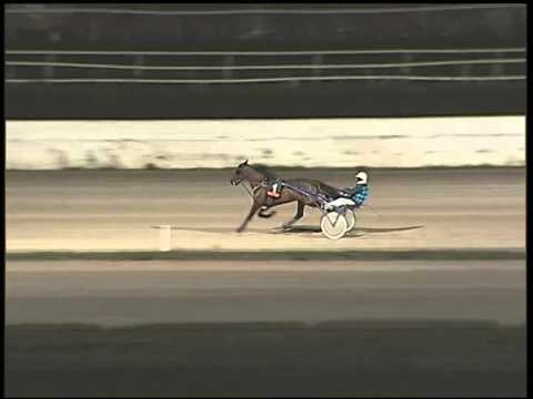 Trotto 30/12/2014 - 3° prova di riqualifica