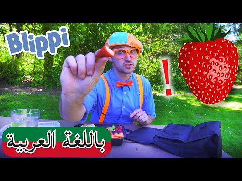 Arabic Blippi | حلقتان من المتعة | افلام اطفال بليبي | برامج اطفال بلي بي | مسلسل و فيديوهات مضحكة