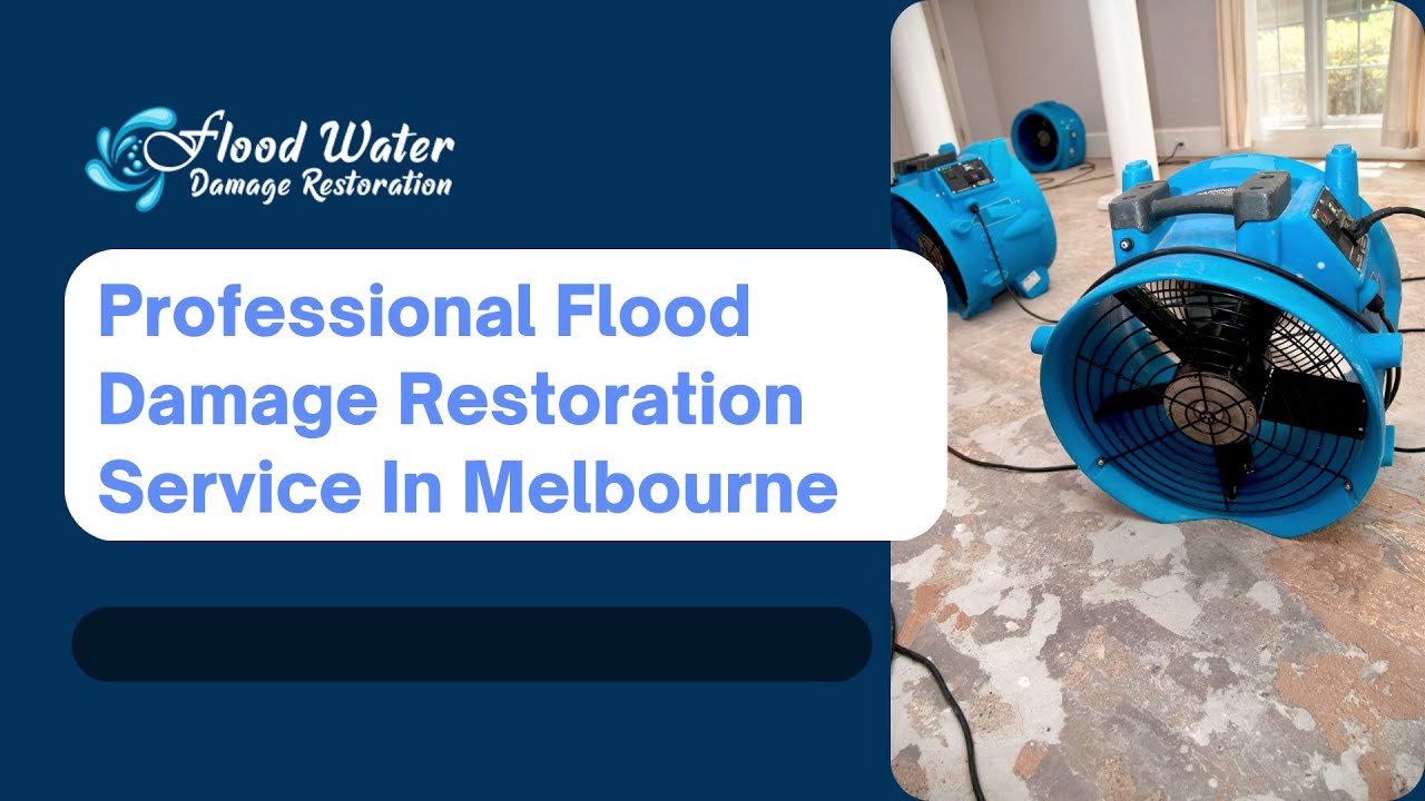 Professional Flood Damage Restoration Service In Melbourne | Carpet Water Damage Restoration Service