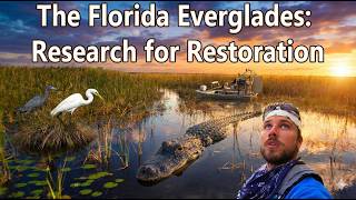 The Florida Everglades: Research for Restoration (Documentary)