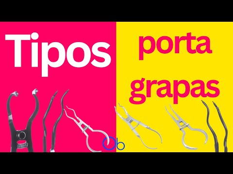 Tipos de Portagrapas y sus funciones
