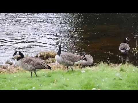 Finnland Graffiti somewhere in nowhere