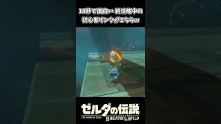 10秒で面白い 祠攻略中の初心者リンクｗｗ【ゼルダの伝説 ブレス オブ ザ ワイルド】