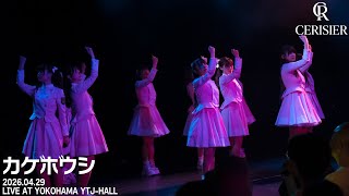 スリジエ「カゲボウシ」LIVEFULL ver.2026年4月29日OGライブ