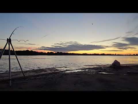 Shore Fishing in the Mediterranean – Magical Night on the “Mississippi” of Martigues (Sea Bass/Bass)