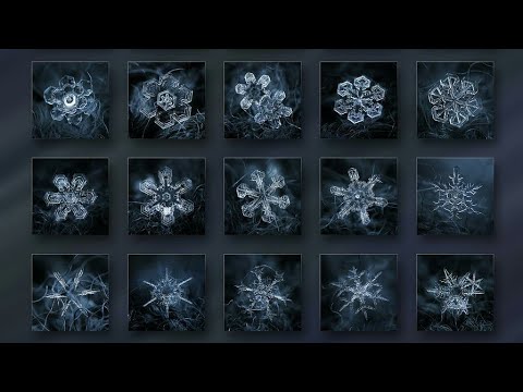 Snowflakes By Alexey Kljatov 2019