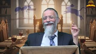 סודות ליל הסדר: איך הופכים מבהמה לאדם? שיעור חובה לפסח | הרב מיכאל לסרי (קו ההלכה הספרדי) - התמונה מוצגת ישירות מתוך אתר האינטרנט יוטיוב. זכויות היוצרים בתמונה שייכות ליוצרה. קישור קרדיט למקור התוכן נמצא בתוך דף הסרטון