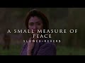 The Last Samurai - A Small Measure Of Peace (Slowed + Reverb)
