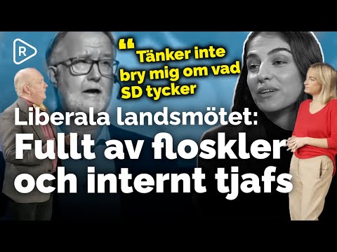 Johan Pehrson ny L-ordförande |  "Godhetssignalering" | Pourmokhtaris SD-hugg: "Lite märkligt"