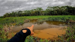 UMA POÇA NO MEIO DO MATO PODE ESCONDER MUITO MAIS DO QUE VOCÊ IMAGINA... Pescaria!