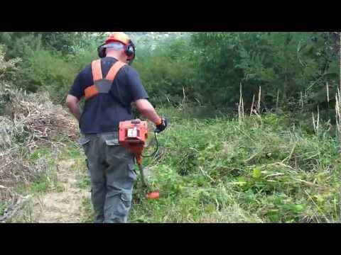 Dragojlo Dudic Kosmaj