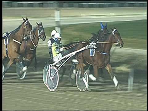 Trotto 30/12/2016 - 6ª corsa