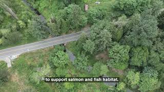 Restoring Little Bear Creek: A Model for Environmental Mitigation