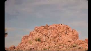 Running Wild Music Video