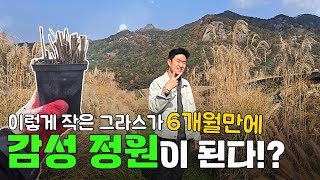 정원을 만드는데 오랜 시간이 소요될까 겁이난다!?! 6개월이면 충분합니다.