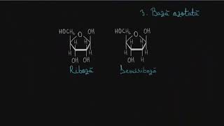 Acizi nucleici - mononucleotide, polinucleotide