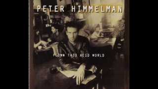 Peter Himmelman   How Did It Come Down To This