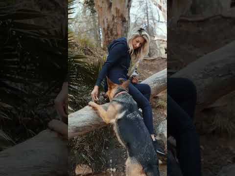 Doggy 🔥 #short #youtubeshorts  #shortdog #trendingshorts