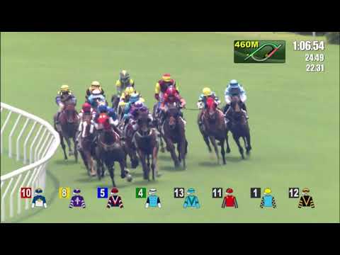 12/9/2021 (19) Light My Day - B Shinn