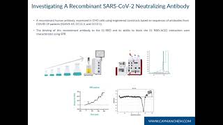 Recombinant SARS-CoV-2 Neutralizing Antibody Blocks Spike RBD-ACE2 Interaction; SPR Characterization