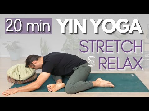 20 Minute Yin Yoga Deep Full Body Stretch | David O Yoga