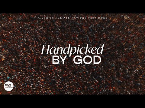 Witness21 Editor  2020 11 12