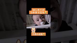 【感動】8ヶ月の赤ちゃんがはじめてのつかまり立ち