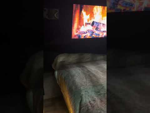 Updated Ad - Added Kitchen - Image 2