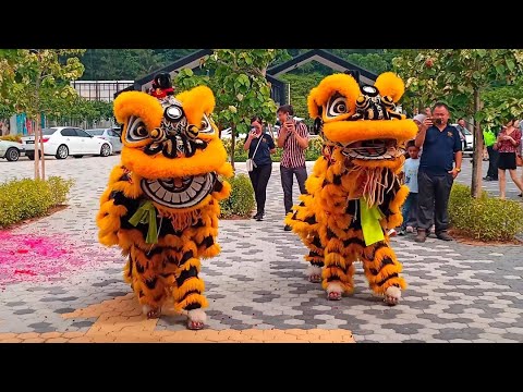 Danza del León - Siente el trueno de los tambores.