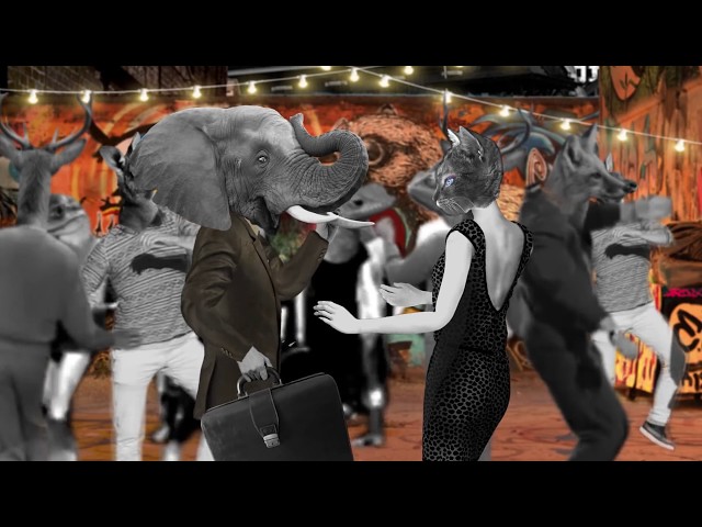 Clip / Music Vidéo - Miss Rosa - Oswando