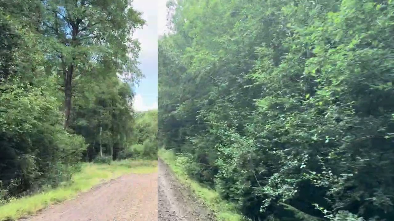 Gård/skog på Gamla riksvägen 501 Båstads kommun - video